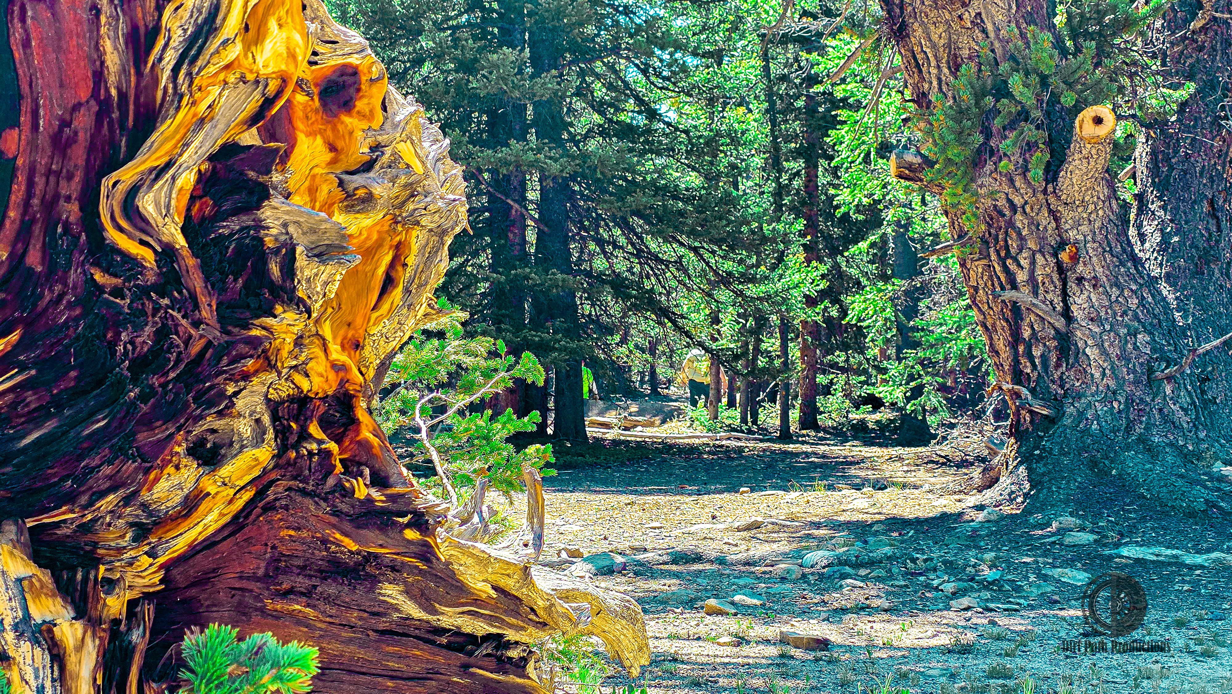 Adventure photography capturing off-road excitement