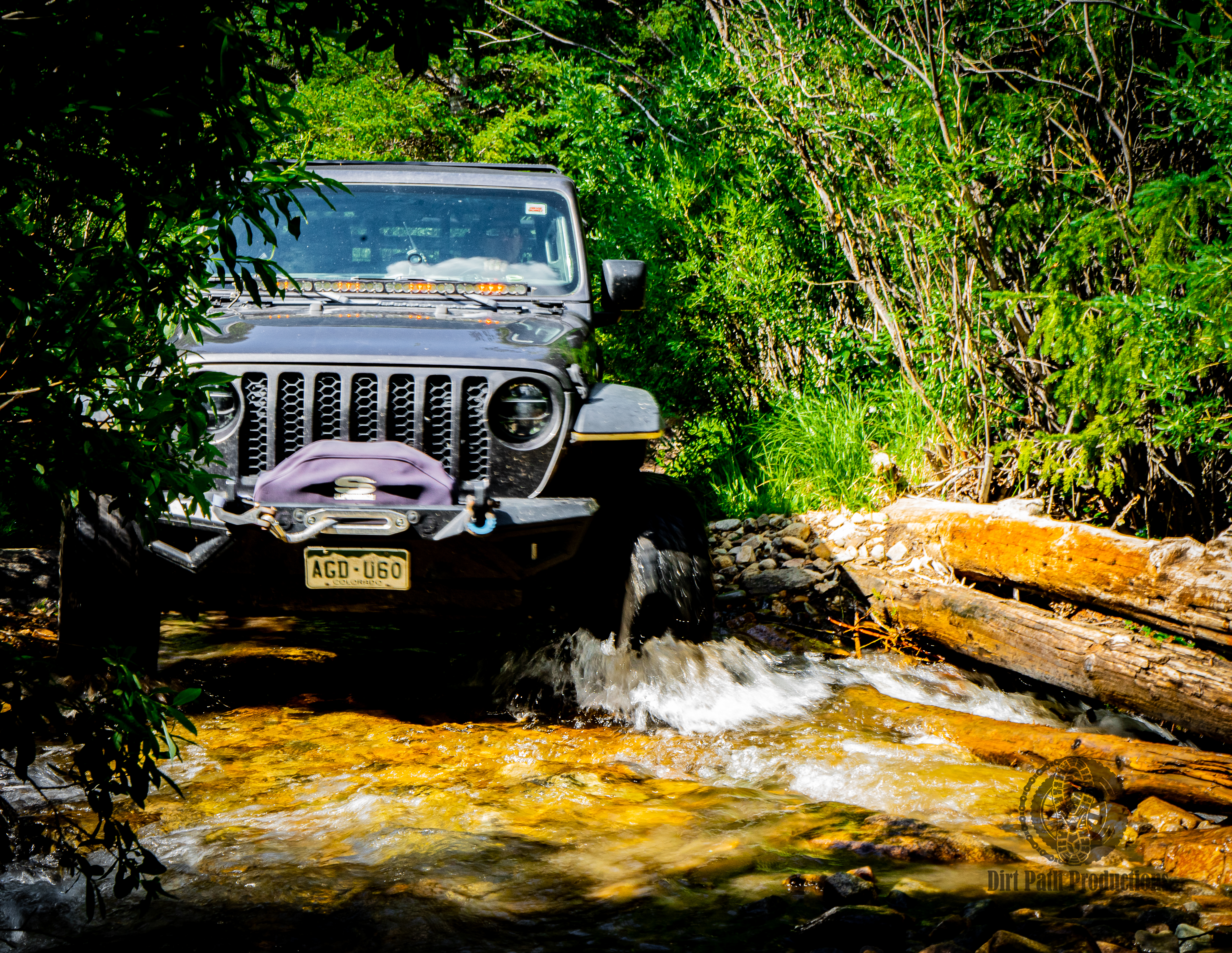 Jeep crossing a stream on a forest trail