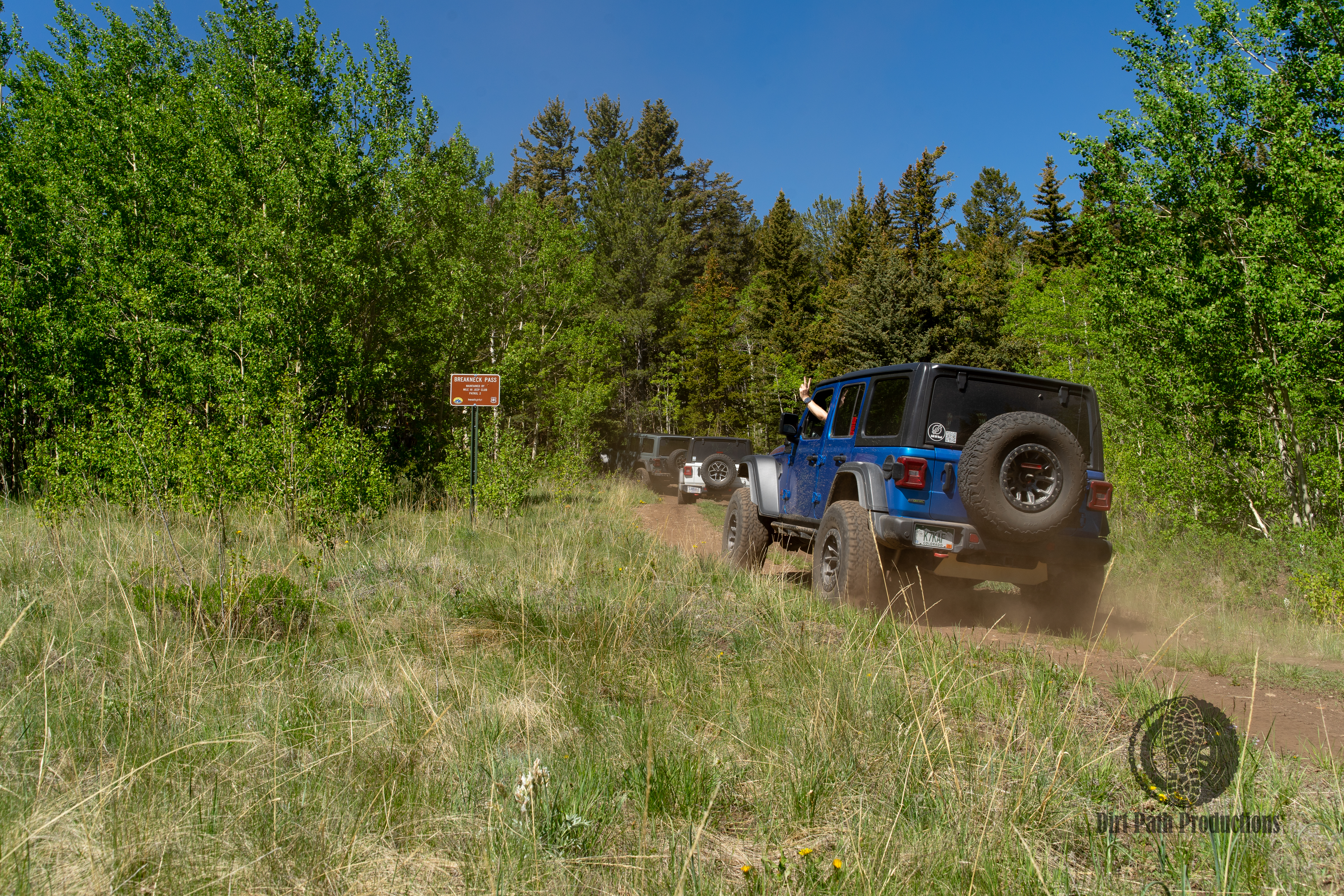 Blue Jeep heading down a forested dirt trail